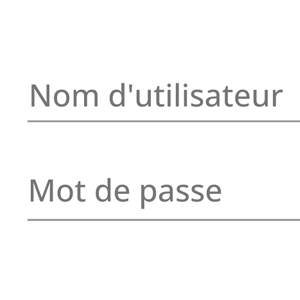 2_Connectez-vous avec le nom d'utilisateur et le mot de passe que vous avez utilisés pour l'achat